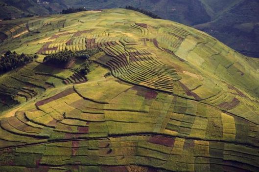 V hornaté Rwandě se lidé snaží využít v zemědělství každé volné místečko.