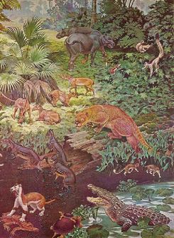 Tak vypadala fauna v době eocénu.