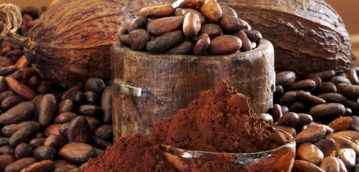Dávní Mayové používali čokoládu k vylepšení chuti pokrmů či jako omáčku (ilustrační foto).