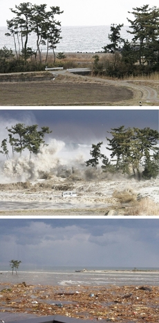 Neštěstí způsobilo silné zemětřesení a následná vlna tsunami. Krajina v okolí elektrárny neměla před vodou šanci.
