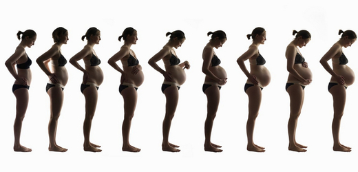 Během těhotenství se mění nejen ženské tělo, ale i složení bakteriálních populací ve střevech.