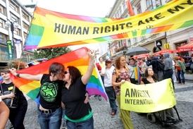Homosexuálové a lesby upozorňovali na to, že mají stejná lidská práva jako kdokoli jiný.