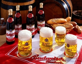 Budweiser Budvar je oblíbeným českým pivem (ilustrační foto).