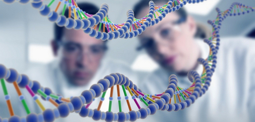 DNA je paměťové médium s obrovskou hustotou zápisu.
