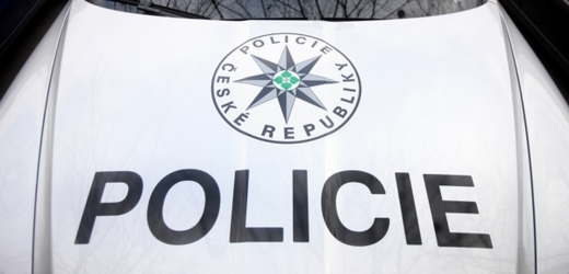 Policisté v souvislosti s víkendovou Velkou cenou ČR silničních motocyklů zatím řešili téměř 250 přestupků (ilustrační foto).