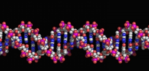 Model dvoušroubovice DNA.