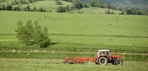 Ekozemědělci letos obhospodařovali více než 11 procent české zemědělské půdy (ilustrační foto).