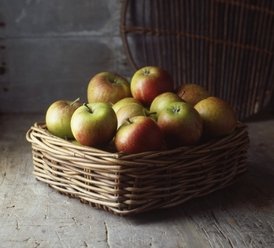 Ovoce do pálenic vezou lidé svoje vlastní. Nejčastěji jsou to jablka, hrušky a švestky, nechybí ani třešně (ilustrační foto).