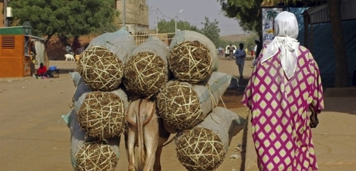 Niger je vytrvale řazen coby jedna z nejchudších zemí na světě.