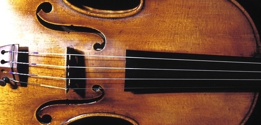 Stradivariho housle lze napodobit. Stačí nabídnout svačinku dřevokazným houbám.