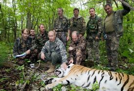Už Putinova klasika. Prezident zachraňuje tygry. 
