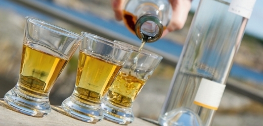 Prohibice tvrdého alkoholu nahrává hlavně vinařům a pivařům (ilustrační foto).