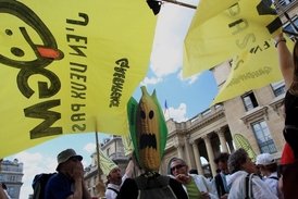 Francouzi se na geneticky modifikovanou kukuřici dívají skrz prsty.