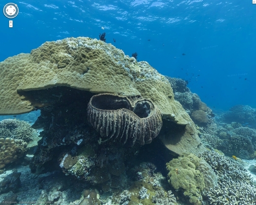 Podmořský svět u filipínského ostrova Apo.