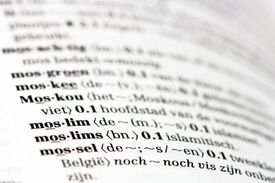 Nizozemský slovník. Výraz alochton se definuje různě.