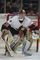 Mezitím Hašek v NHL opět měnil dres. Zahrál si také za kanadskou Ottawu, kde strávil sezonu 2005/06. Poté se opět vrátil do Detroitu.