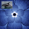 Delfín zvaný plískavice bělonosá je autorem zvuku přeměněného do tohoto krásného obrazce.
