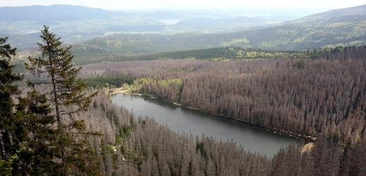 Národní park Šumava.