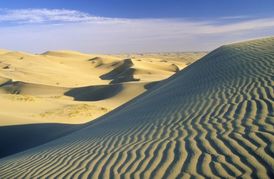 Sonorská poušť.