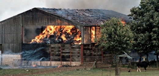 Požár způsobil škodu za zhruba 800 tisíc korun (ilustrační foto).