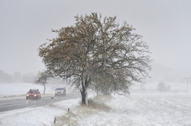 Největší sněhovou nadílku dosud dostaly Karlovarský, Ústecký a Liberecký kraj.