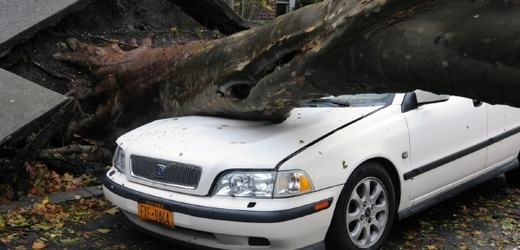 Hurikánem vyvrácené stromy páchaly škody na automobilech.