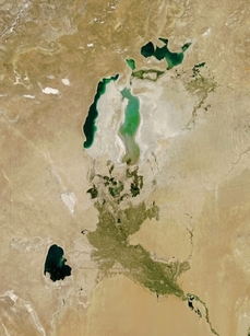 Kvůli extenzivnímu zavlažování bavlníkových plantáží vodou z Amudarji už skoro vyschlo Aralské jezero.