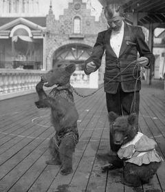 Medvědi prezidenta Roosevelta.