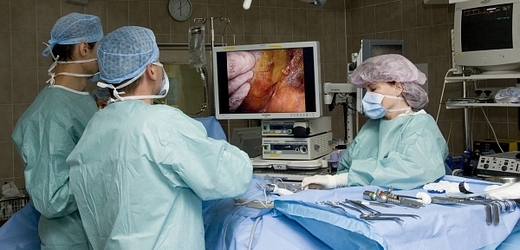 Jednotlivé transplantace ledviny dnes patří k nejrozšířenějším a také nejúspěšnějším operacím svého druhu.