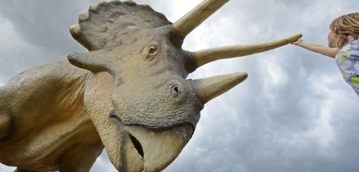 Nejznámějším zástupcem rohatých dinosaurů je Triceratops. Na obrázku je model z výstavy v německém Hohenfeldenu.