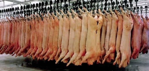 Ukradené maso prodávala dvojice zlodějů do několika hostinců v Česku.
