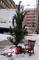 Těšíte se už na Vánoce? Když napadne sníh, může se v zahrádkách objevit stromeček obsypaný dárky a pohodlné křesílko. 