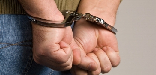 Policejní lovci lebek zadrželi v České republice britského pedofila a ve čtvrtek jej předali kolegům z Velké Británie (ilustrační foto).