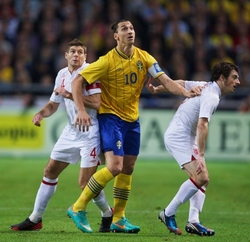 Nejznámějším bosenským muslimem ve Švédsku je hvězda národního fotbalového týmu Zlatan Ibrahimović.
