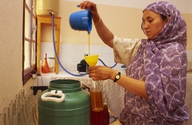 Obchod s arganovým olejem představuje jedinečnou příležitost pro tisíce berberských žen