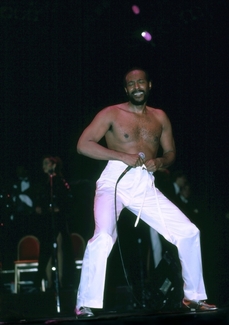 Marvin Gaye patřil k hvězdám černošské hudby 70. a 80. let.