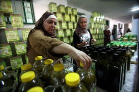 Palestinky nabízejí olivový olej vlastní výroby. 