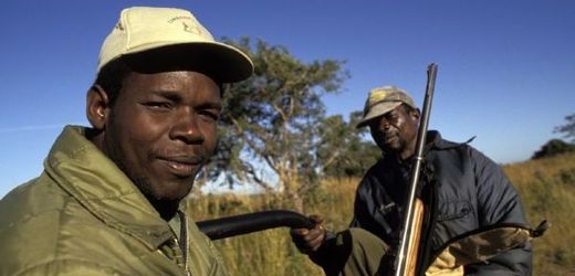 Profesionální lovci slonů v Zimbabwe (ilustrační fotografie).
