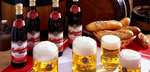 Pivo Budvar (ilustrační foto).