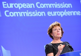 Eurokomisařka pro digitální agendu Neelie Kroesová.