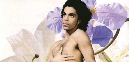 Co jiného čekat od amerického zpěváka Prince?