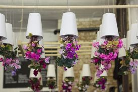 Květináče Boskke mohou z pokojových rostlin udělat zajímavou dekoraci.