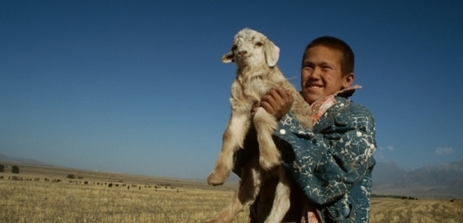 Kazachstán by se podle Nazarbajevové měl zaměřit na odvětví, která tradičně ovládá, například živočišnou výrobu.