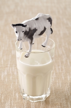 Američané svůj marketing míří proti různým alternativám mlék, jako jsou ty sojové či mandlové. Snaží se tak zdůraznit autenticitu kravského mléka (ilustrační foto).