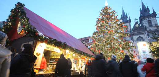 Vánoční strom na Staroměstském náměstí v Praze. (Foto: Jakub Stadler)