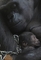 DNA gorily je z 98 až 99 procent shodné s DNA člověka a po šimpanzích jsou gorily jeho nejbližší příbuzní. (Foto: profimedia.cz)