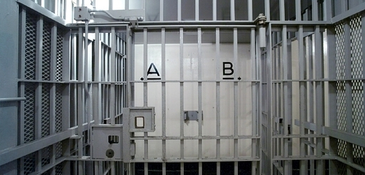 Ani za mřížemi se nemusí zahálet (ilustrační foto).