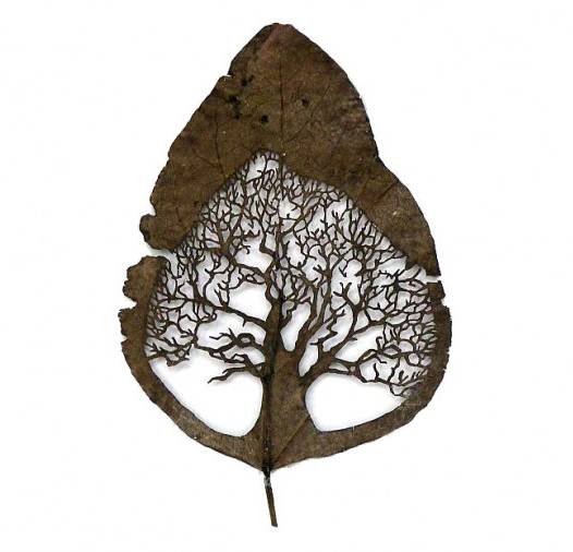 List ze stromu nebo strom v listu?