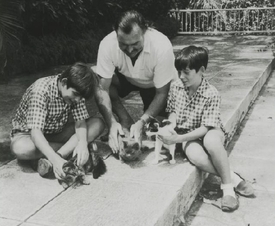 Hemingway, děti, kočky...
