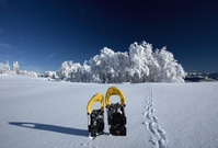 Zájem o výlety na sněžnicích je enormní. Na Šumavě tak bylo zapotřebí nakoupit desítky nových párů sněžnic (ilustrační foto).